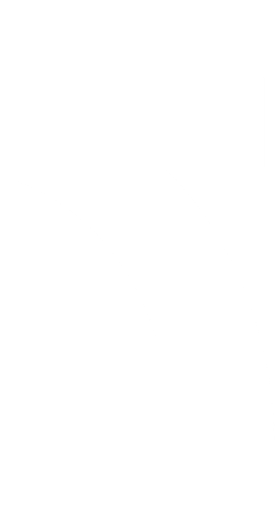 SPinturaArt