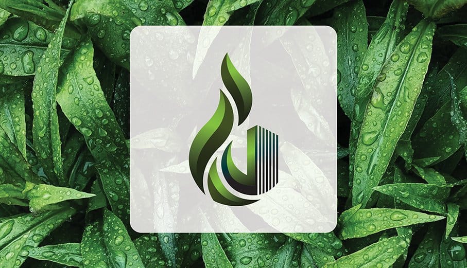 Green Shadow logo design by SPinturaArt – rights revoked due to unpaid project